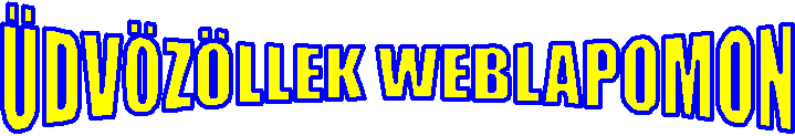 DVZLLEK WEBLAPOMON